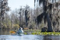 Tandem kayakers paddling through Spanish Moss and Cypress in the Okefenokee Swamp Royalty Free Stock Photo