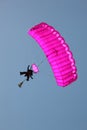 Tandem Sky Divers Landing Royalty Free Stock Photo