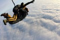 Tandem skydiving. Skydivers are flying above white clouds. Royalty Free Stock Photo