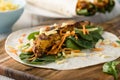 Tandoori chicken wrap with tzatziki Royalty Free Stock Photo