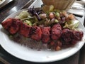 Tandoori Kabob Dinner Royalty Free Stock Photo