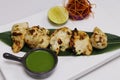 Tandoori malai chicken tikka, cream based marinated tender chicken cubes cooked in clay oven, indian food speciality