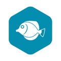 Tang fish, Zebrasoma flavescens icon