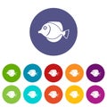 Tang fish, Zebrasoma flavescens set icons