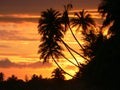 Tangalla sunset