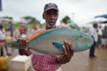 Tangalle, Sri Lanka, November 15, 2015: Selling a very colourful fish on fish market