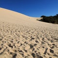 Tangalooma sand hill