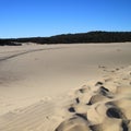 Tangalooma sand hill