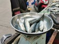 Tangerang, Banten, Indonesia - January 29, 2020: Fish are being weighed for sale. Royalty Free Stock Photo