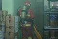 Emergency Fire and Disaster Simulation