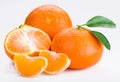 Tangerine Royalty Free Stock Photo