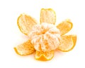 Tangerine Royalty Free Stock Photo