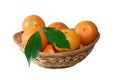 Tangerine Basket Royalty Free Stock Photo