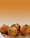 Tangerine basket on white-orange gradient background Royalty Free Stock Photo