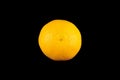 Tangerine on black background Royalty Free Stock Photo