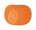 tangerine citrus fruit