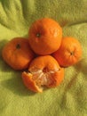 Tangerine Citrus Orange Holiday children winter