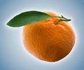 Tangerine or clementine with green leaf isolated on white background Royalty Free Stock Photo