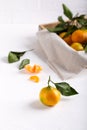 Tangerine clementine, mandarin, citrus fruit with green leaf on white table Royalty Free Stock Photo