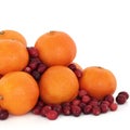 Tangerine and Cranberry Fruit Royalty Free Stock Photo