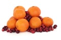Tangerine and Cranberry Fruit Royalty Free Stock Photo