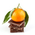 Tangerine dream Royalty Free Stock Photo