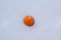 Tangerine in fresh loose snow