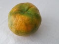 Tangerine green in Atibaia in Sao Paulo in Brazil Royalty Free Stock Photo