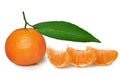 Tangerine with green leaf