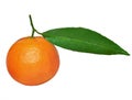 Tangerine with green leaf
