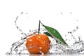 Tangerine with green leaves and water splash