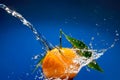 Tangerine with green leaves and water splash