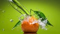 Tangerine with green leaves and water splash on green