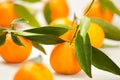 Tangerine group Royalty Free Stock Photo