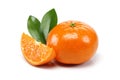 Tangerine Group Royalty Free Stock Photo