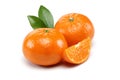 Tangerine Group