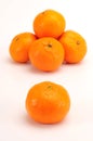 Tangerine group