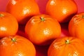Tangerine group on red background Royalty Free Stock Photo