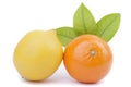 Tangerine and lemon
