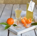 Tangerine liqueur in glass. Delicious yellow alcohol drink. Mandarine liquor. Glass bottle, shot and citrus fruit. Copy space