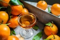 Tangerine liqueur shot and fresh tangerines