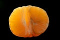 Tangerine macro segment over black Royalty Free Stock Photo