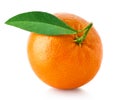 Tangerine, mandarin or clementine on white background