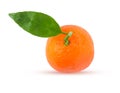 Tangerine or mandarin fruit with green leaf Royalty Free Stock Photo