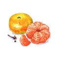 Tangerine or mandarin fruit isolated on white background