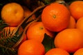 Tangerine. Mandarin. Solar fruit with energy of the sun, symbol happiness, wealth and success. Royalty Free Stock Photo