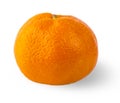 Tangerine mandarine orange on white background