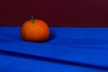 tangerine on navy blue tissue paper