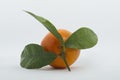 Tangerine over white background