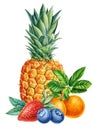 Tangerine, pineapple, strawberry and blueberries, watercolor illustration, fruits and berries